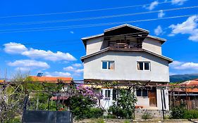 Alpin Guest House
